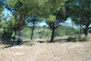 Terreno en venta en Calafat en Ametlla de Mar, l´