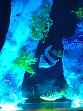 Lampada Legno Ulivo Resina Oceano Pesci