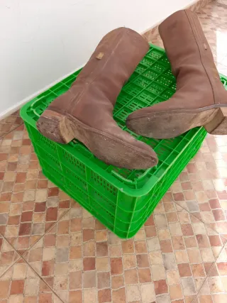 Botas camperas Verde de la Camino marrones