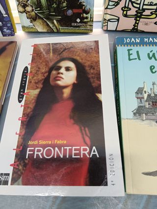 Lote 10 libros, cuentos, novelas juveniles