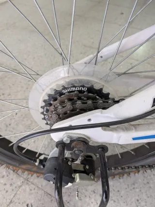 Bicicleta Infantil B-Pro Rueda 20