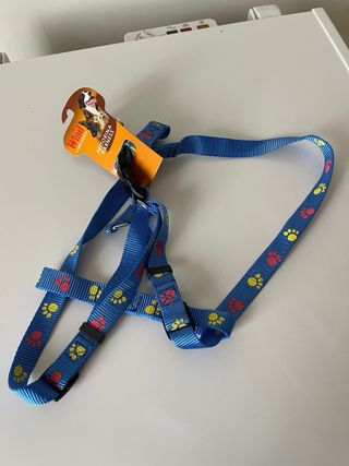 Pettorina per cani Wind