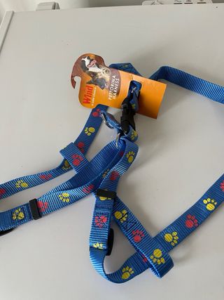 Pettorina per cani Wind