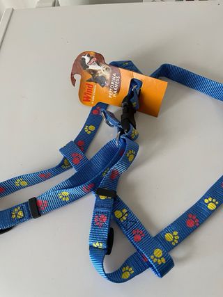 Pettorina per cani Wind