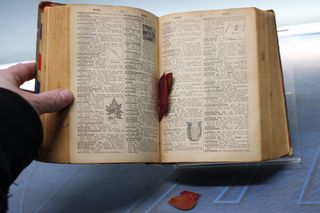 Diccionario ilustrado de la lengua española. Aristos, 1937.