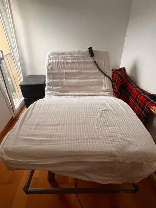 Cama ortopédica eléctrica Pardo + Colchón