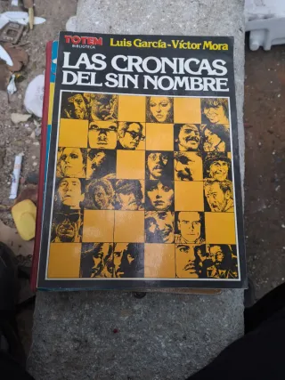 Libro las crónicas del sin nombre