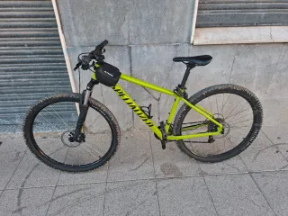 Bici Specialized Rockhopper 29