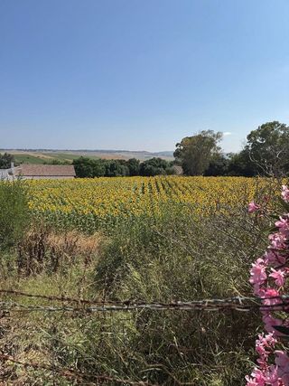 Casa rural en venta en Vejer de la Frontera