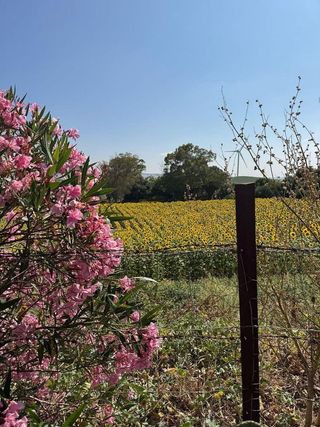 Casa rural en venta en Vejer de la Frontera