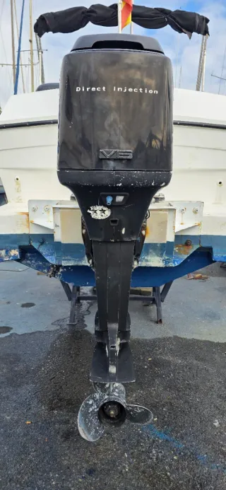 Mercury 150cv Motor Fueraborda. (FUNCIONA)