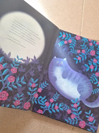 ¡Valentina! (Spanish Edition)