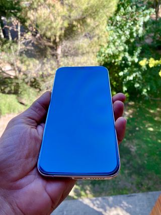 iPhone 12 Pro Max 256Gb sin Face ID OFERTA