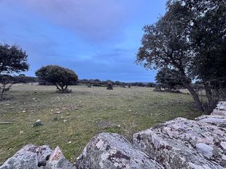 Terreno en venta en Colmenarejo