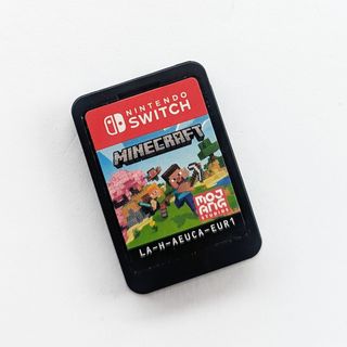 Minecraft Nintendo Switch