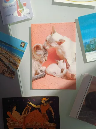 Lote 40+ Postales Vintage Variadas