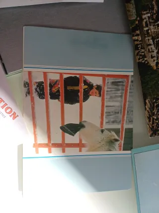 Lote 40+ Postales Vintage Variadas