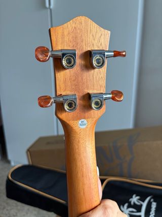 Ukelele Donner con funda