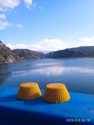 Cera abeja pastillas