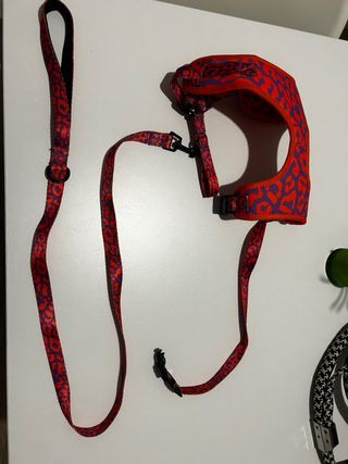 Arnés y Correa para Perro 15-20kg