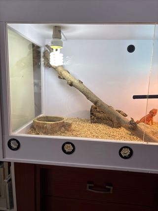 Terrario para reptiles