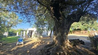 Piso en alquiler en Vejer de la Frontera