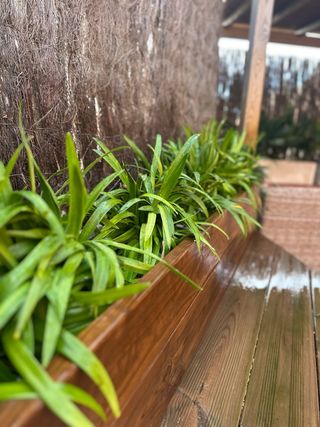 Jardinero Barcelona Sant Cugat Maresme ..etc