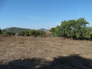 Solar en venta en Son Servera