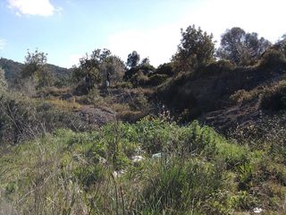 Terreno en venta en Son Servera