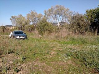 Terreno en venta en Son Servera