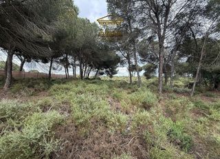Terreno en venta en Bonares