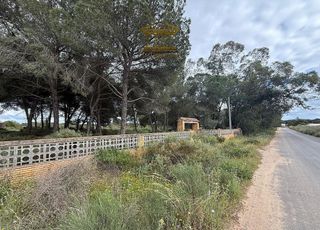 Terreno en venta en Bonares