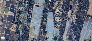 Terreno en venta en Bonares