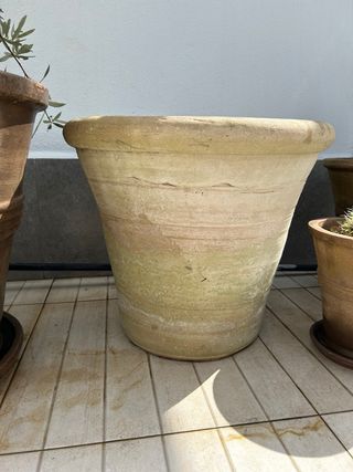 Maceta Grande Terracota Beige y Verde