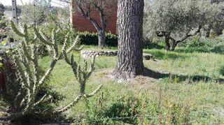 Terreno en venta en Sant Esteve Sesrovires