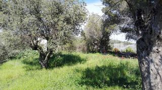 Terreno en venta en Sant Esteve Sesrovires