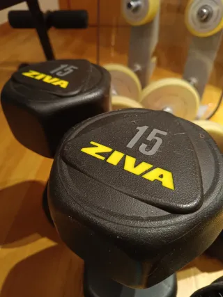 Banco de pesas + mancuernas y discos