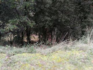 Solar en venta en Urbanitzacions en Bigues i Riells