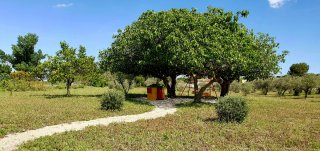 Alquiler vacacional