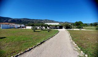 Alquiler vacacional
