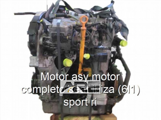 Motor asy motor completo seat ibiza (6l1)