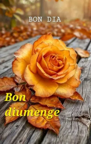 Thermomix antigua desmontada