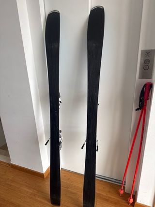 Esquís Dynastar Power Track 79