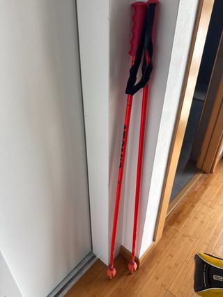 Esquís Dynastar Power Track 79