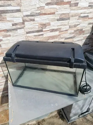 Pecera con tapa negra