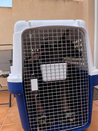 Transportín Kennel PET PALACE XXL BB75-BB85