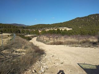 Terreno en venta en Mula