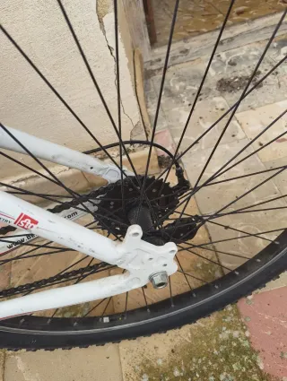 Bicicleta Berg Trail