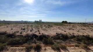 Terreno en venta en Crevillent