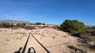 Terreno en venta en Crevillent